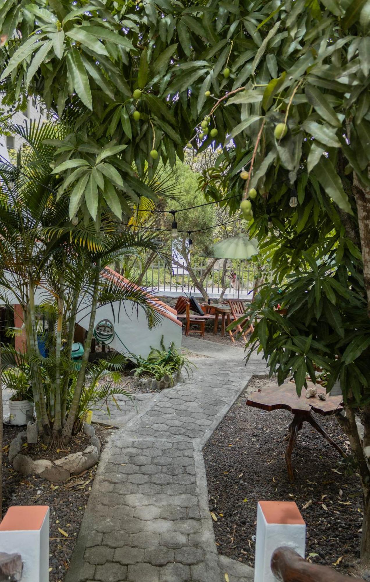 Отель Casa De Nelly Пуэрто-Бакерисо-Морено Экстерьер фото